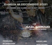 Gaël Grimaud : Stage technique, samedi 18 décembre à Saint Denis (97400).