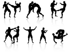 séquences de MMA représentées par les différentes distances de combat